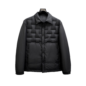 8181P335 25冬季新款 90%白鸭绒薄款衬衫领羽绒服  控498图片