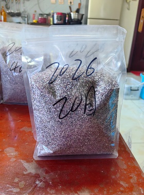 紫色魅影天然螺钿粉新西兰贝壳粉漆画漆器漆艺莳绘装饰DIY镶嵌材