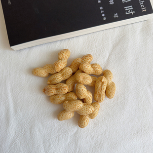 仿真花生无痕磁吸扣胸针学生礼物配饰 「胸针很忙」自制好事花生