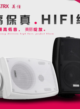 会议壁挂音箱40w背景音乐挂壁喇叭专业音箱定压定阻可调20w/30w