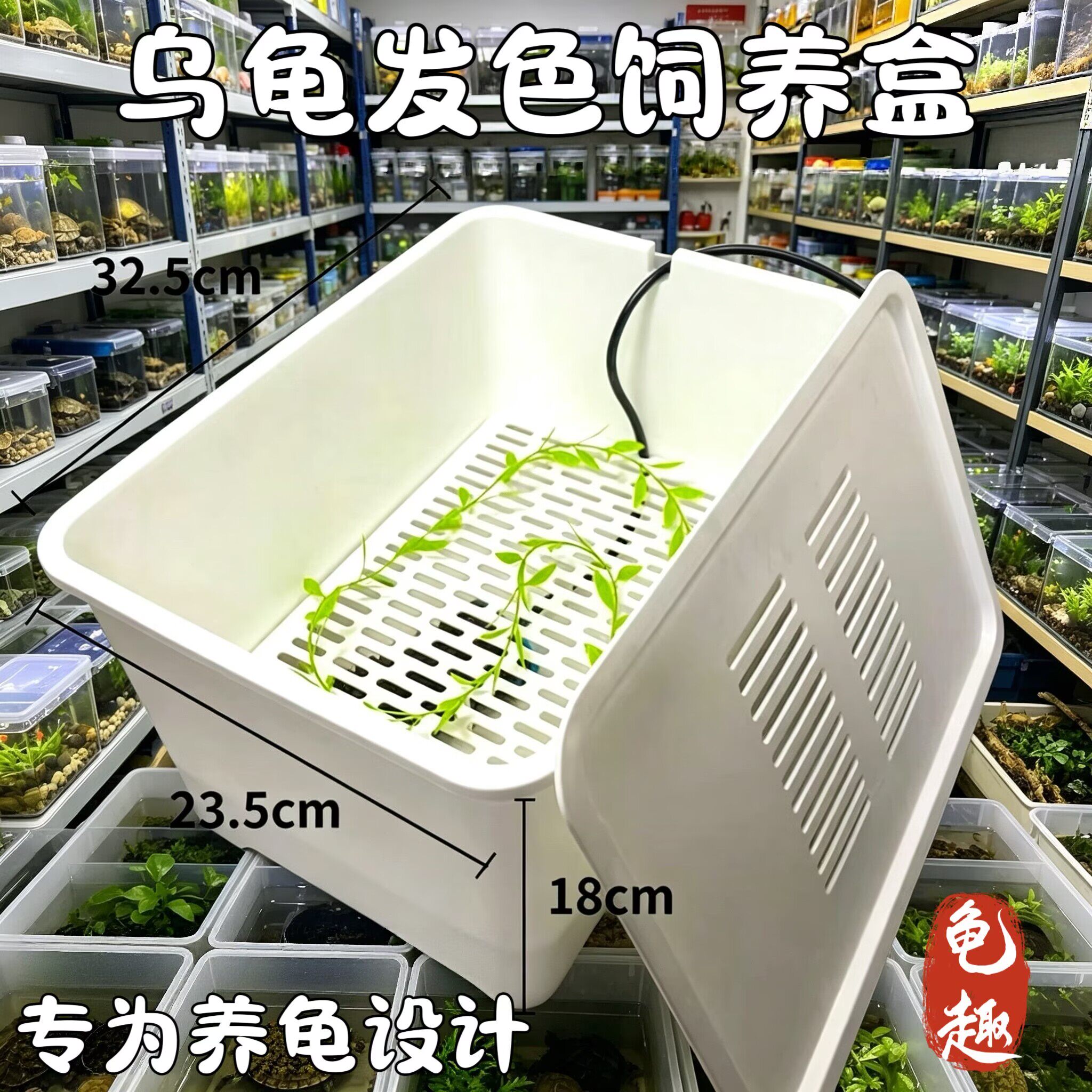 乌龟饲养盒乌龟发色盒龟苗孵化龟缸蛋龟饲养盒育苗盒可加温图片