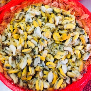 潮汕特产 新鲜蚬肉 鱼饭 红肉米 薄壳米250g 薄壳 海瓜子 2份包邮