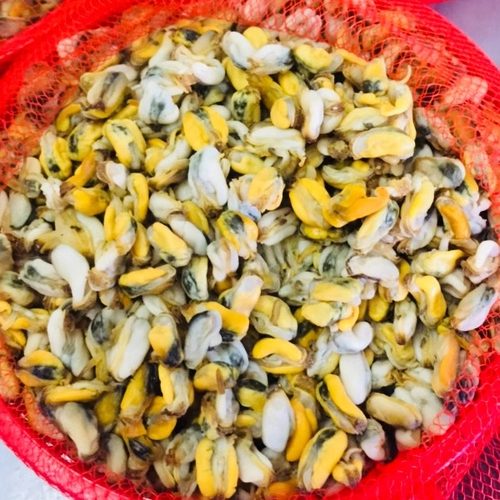 新鲜薄壳米海瓜子250g