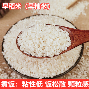 农家糙早稻米早籼米不粘不糯肠粉白谷豆腐凉皮粉发米糕粑饼蛋炒饭