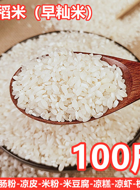 湖南益阳桂朝米商用100斤早稻米籼米50kg肠粉米豆腐凉糕米粉不粘