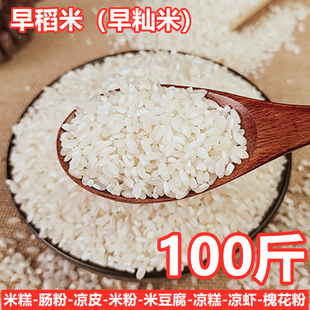 桂朝米商用100斤早米籼米50kg肠粉米豆腐米皮凉糕米粉开店用不粘