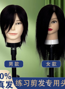 全真发可染可烫美发头模