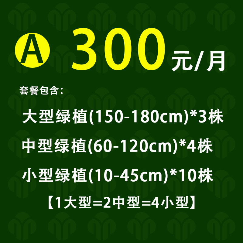 南宁市绿植出租植物租摆盆栽租赁桌面绿植