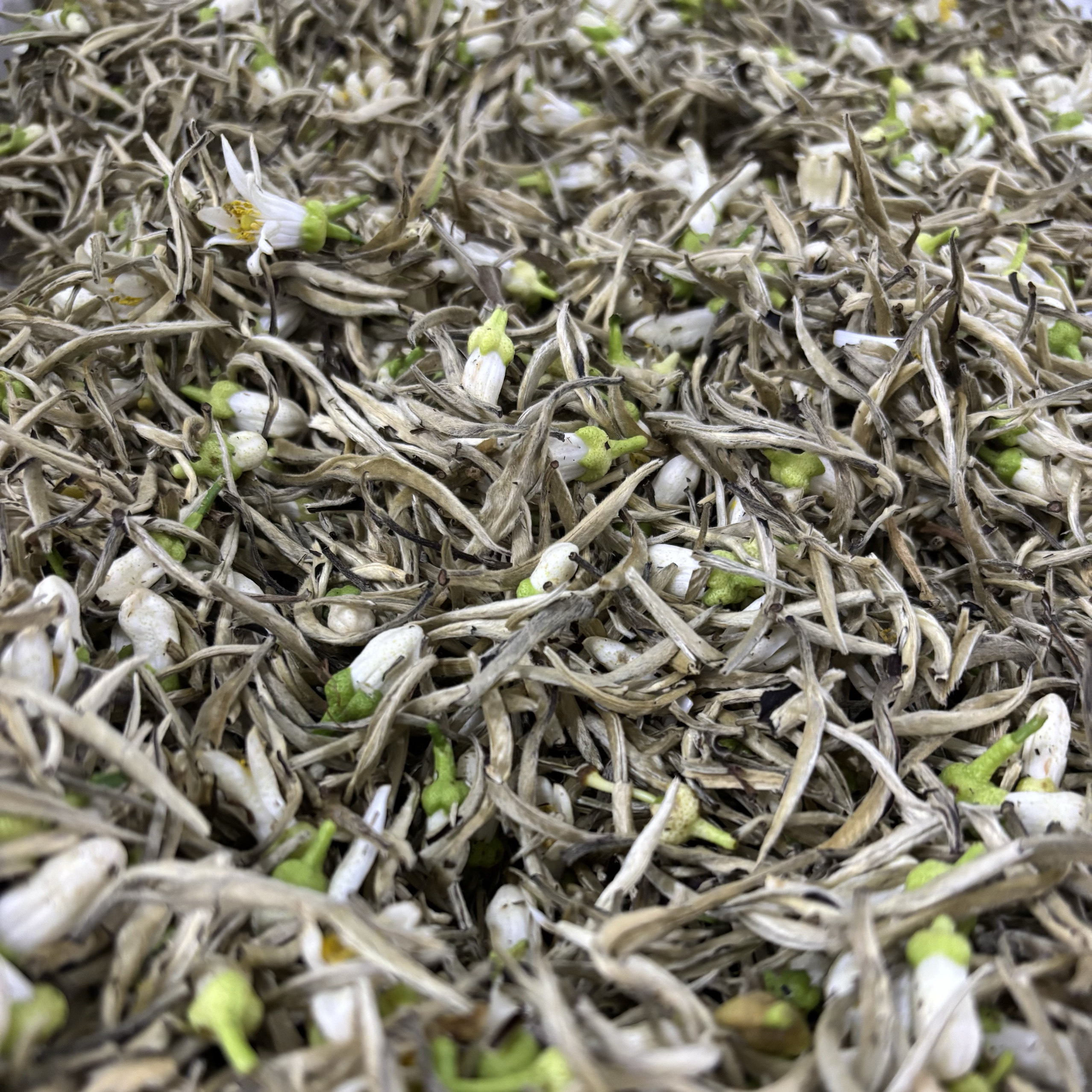 饮梅·2026年橙花白茶 九窨橙花白毫银针 鲜灵橙香玳玳花茶