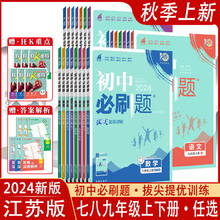 2024新版初中必刷题语文数学英语物理化学七7八8九9年级上下册人教译林江苏科版初一二三课时作业本亮点给力大试卷小题狂做实验班