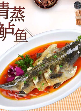 仿真道具鲈鱼鲫鱼模型清蒸鲈鱼