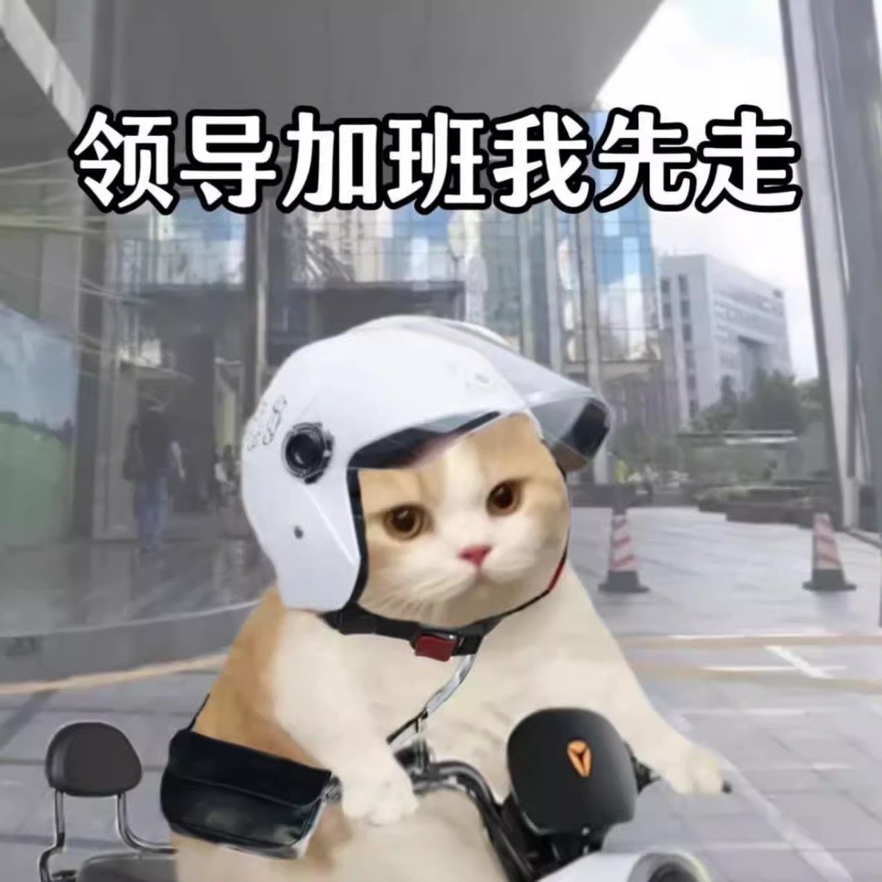 11月19日 更新~ 微瑕疵 清仓福利 不售后 口红香水眼影