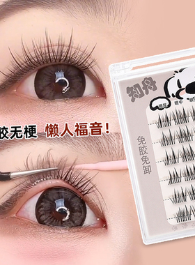2025新款免胶水自粘假睫毛女自然仿真婴儿直太阳花可重复使用无梗