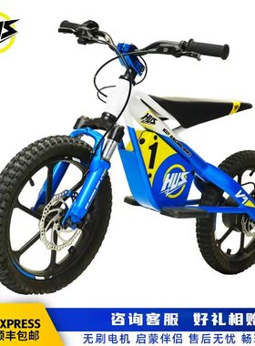 Hus儿童电动竞技车小型电竞车小轻蜂电动车大轮版16寸适合5到10岁