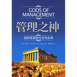 管理之神：组织变革 包邮 今日与未来9787303083305北师大 现货