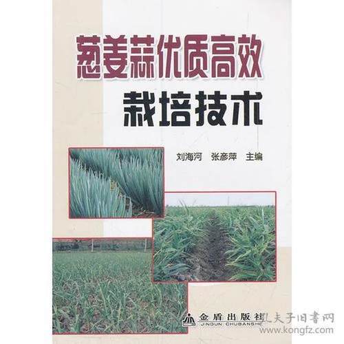 （正版包邮）葱姜蒜优质G效栽培技术9787508271972金盾