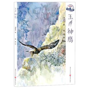 （正版包邮）玉爪神鹰9787229147938重庆