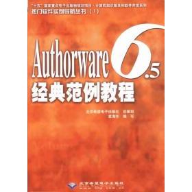 Authorware6.5经典 包邮 范例教程 附光盘 社 9787894980694北京希望电子出版 正版