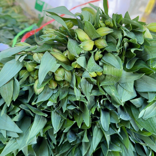 2把白色六出花三单空运二单冷链