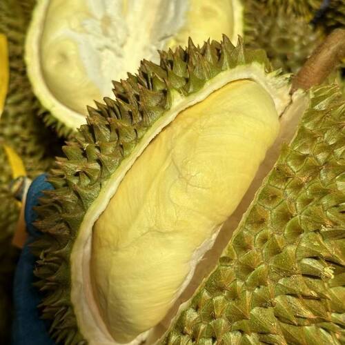 泰国金枕榴莲A级顺丰冷链包邮