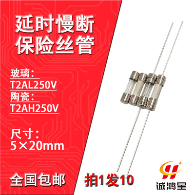 T2AH250V玻璃陶瓷保险丝管T2AL带引脚线延时慢断电源电视机10个