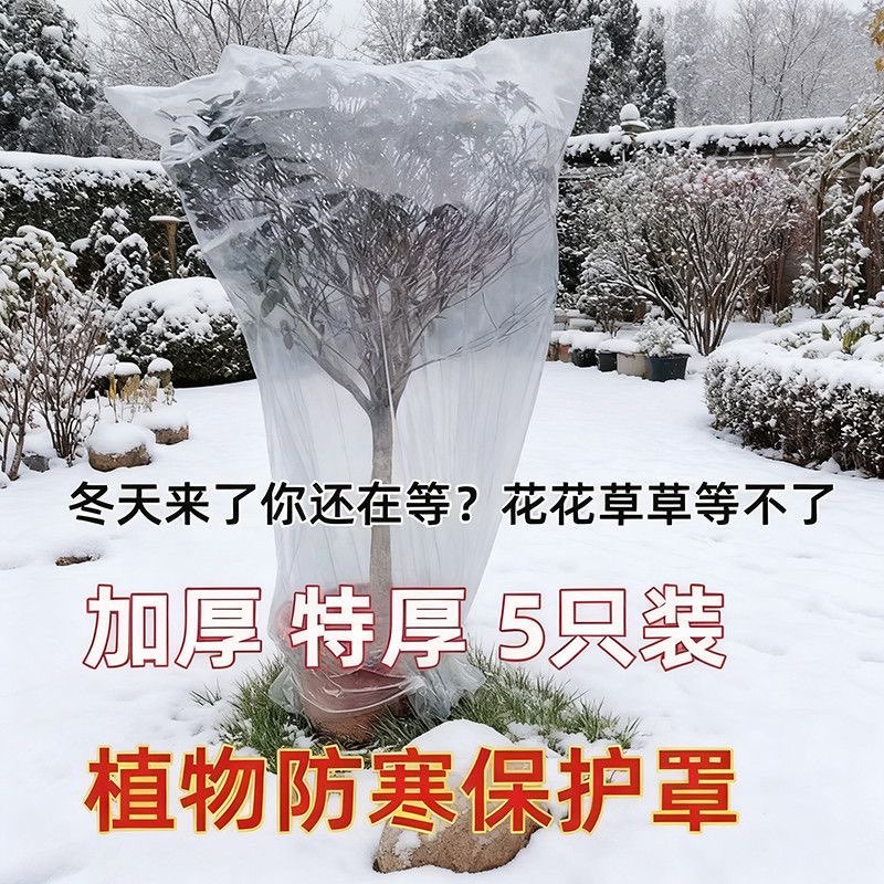 植物防寒保暖罩塑料膜加厚透明