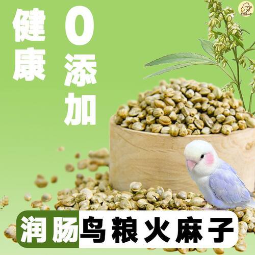 大头虎皮优质大麻仁(大颗粒）全网ZR