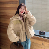 【新款】现货羊羔毛翻领短款羽绒服（90）293-2832-P330控498，女装羽绒服，浙宝293