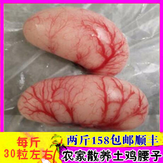 新鲜农家土鸡腰子大粒蛋睾丸