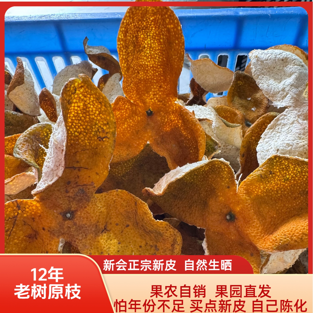 正宗新会新皮2025年12年老树原枝柑皮大红柑皮新会特产果皮整皮