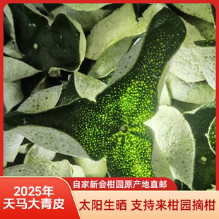 2025年正宗新会天马大青皮柑壳果皮干泡水广东特产柑皮桔子皮橘皮