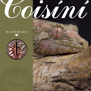 原创DIY手工玩偶配件羊毛毡戳戳乐仿真爬行动物玻璃眼睛 魔物守宫