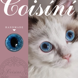 原创 /羊毛毡 /手作 /猫咪仿真玻璃眼睛 布偶猫