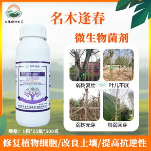 坪安名木逢春微生物菌剂大树复壮快速回复生根促进营养肥料水溶肥