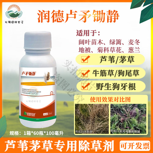 润德苑林除茅草狗牙根牛筋草