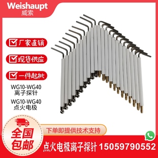 Weishaupt威索WG10 40N点火电极点火棒离子探针离子棒