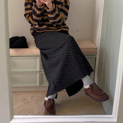 韩系小众碎花设计！2025秋冬新款气质显瘦A字休闲加绒半身裙女