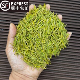 【安吉奶香白茶】2026白化绿茶糯甜感奶香型50克罐装