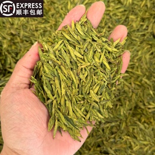 2026新茶口粮乌牛早绿茶四川宜宾产区豆香型125克罐装