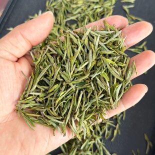 2026黄山庙坞毛峰绿茶老土种雨前茶兰花香125克罐装