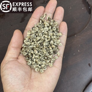 2026新茶茉莉小玉螺4窨单芽浓香型125克罐装