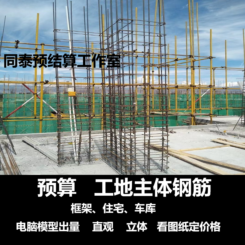 预算主体钢筋量 吨数规格 钢筋粗翻样 用来报价或进料用 不做结算