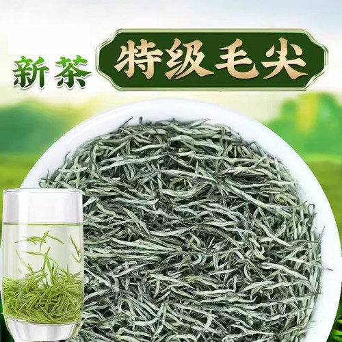 2026年新茶信阳毛尖茶叶明前嫩芽浓香型绿茶春茶自己喝口粮茶散装