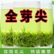 2025年新茶信阳毛尖茶叶明前嫩芽浓香型绿茶春茶自己喝口粮茶散装