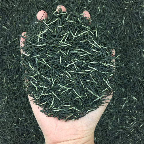 正宗信阳原产毛尖2026新茶特级绿茶雨前春茶嫩芽毛尖散装茶叶