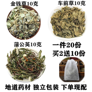 包邮 金钱草车前草蒲公英各10克泡水浦公英20份