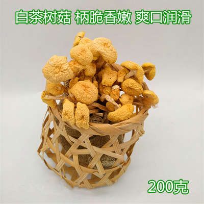 20年新货白茶树菇干货不开伞香嫩农家自产江西广昌茶薪菇散装200g