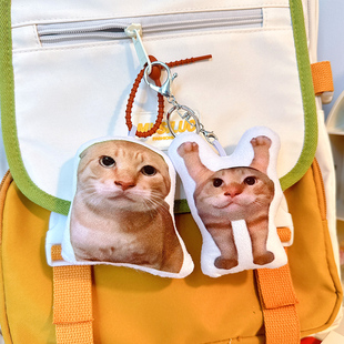 流浪猫圆头耄耋语音挂件橘猫宝宝哈气发声玩偶来图定制猫咪钥匙扣