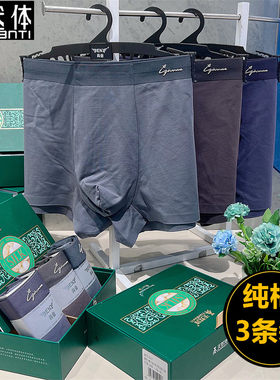 天然体纯棉蚕丝内裤男平角裤