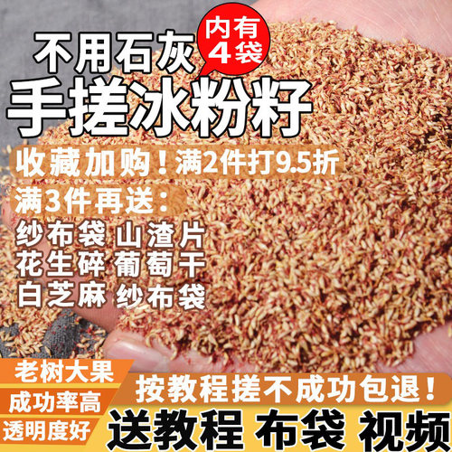 贵州特产野生凉粉木瓜籽